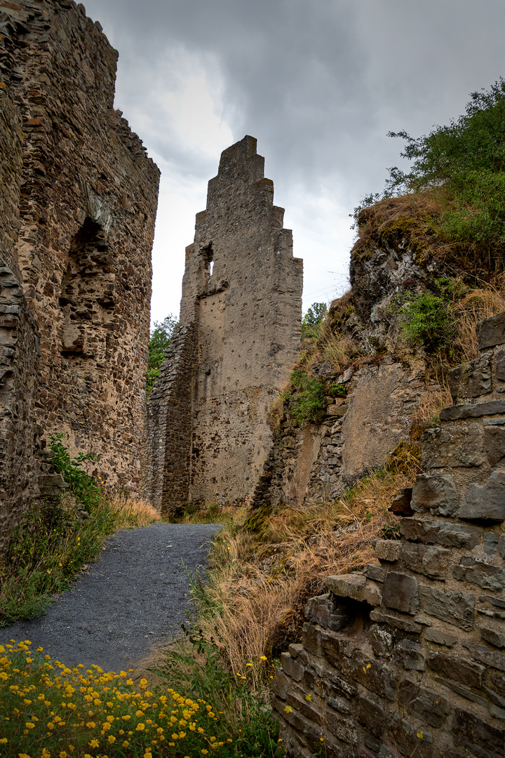 Burg Ruine Monreal