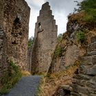 Burg Ruine Monreal