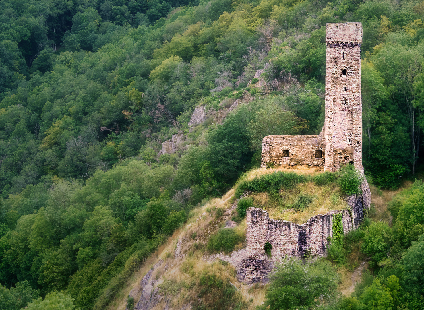 Burg Ruine Monreal III Eifel