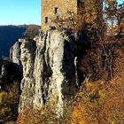 BURG Ruine REUSENSTEIN