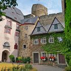 Burg Runkel in der Sommerblüte 