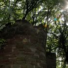 Burg Rusteberg Turm Kapelle