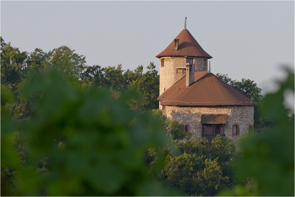 Burg Rychenstein