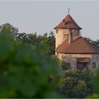 Burg Rychenstein