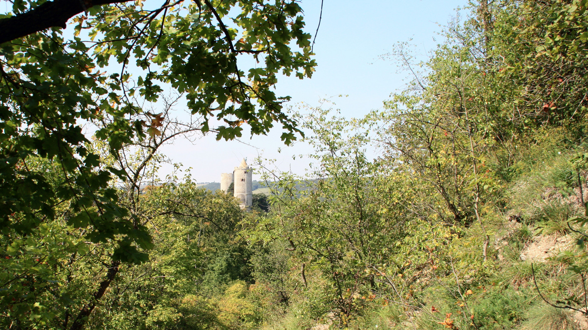 Burg Saaleck