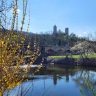 Burg Saaleck im Frühling