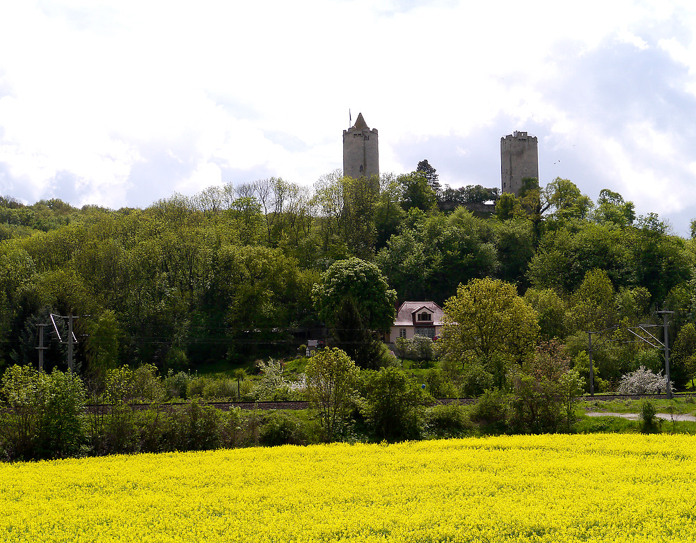 Burg Saaleck mit Raps