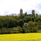 Burg Saaleck mit Raps