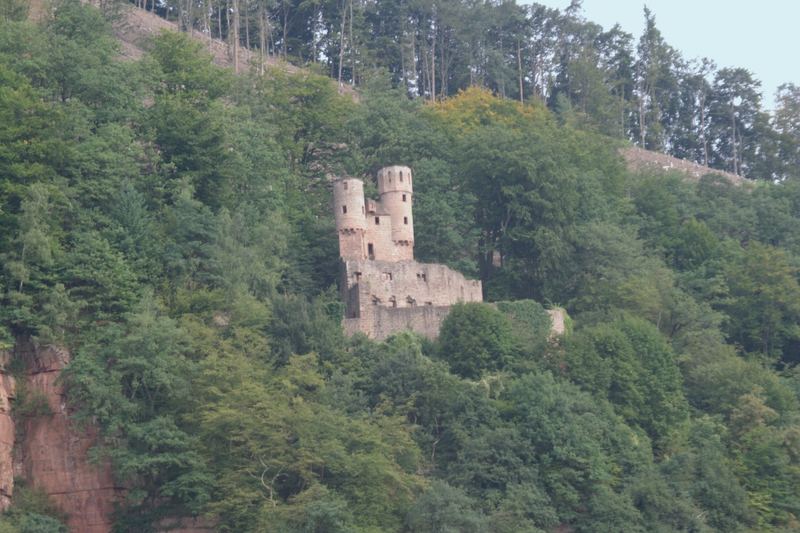 Burg Schadeck / Neckarsteinach / Neckartal