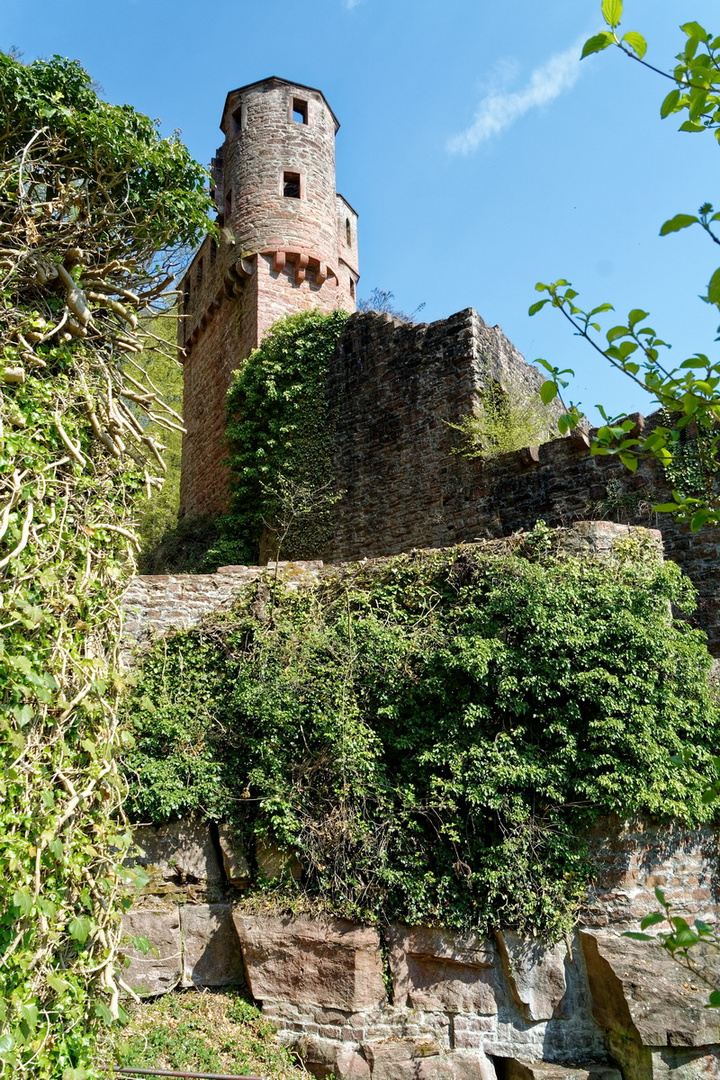 Burg Schadeck ( Schwalbennest)