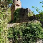 Burg Schadeck ( Schwalbennest)