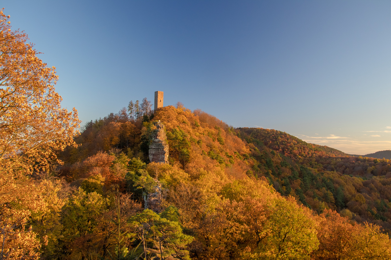 Burg Scharfenberg (Münz)  im Abendlicht