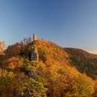 Burg Scharfenberg (Münz)  im Abendlicht