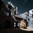 Burg Schaunberg III IR