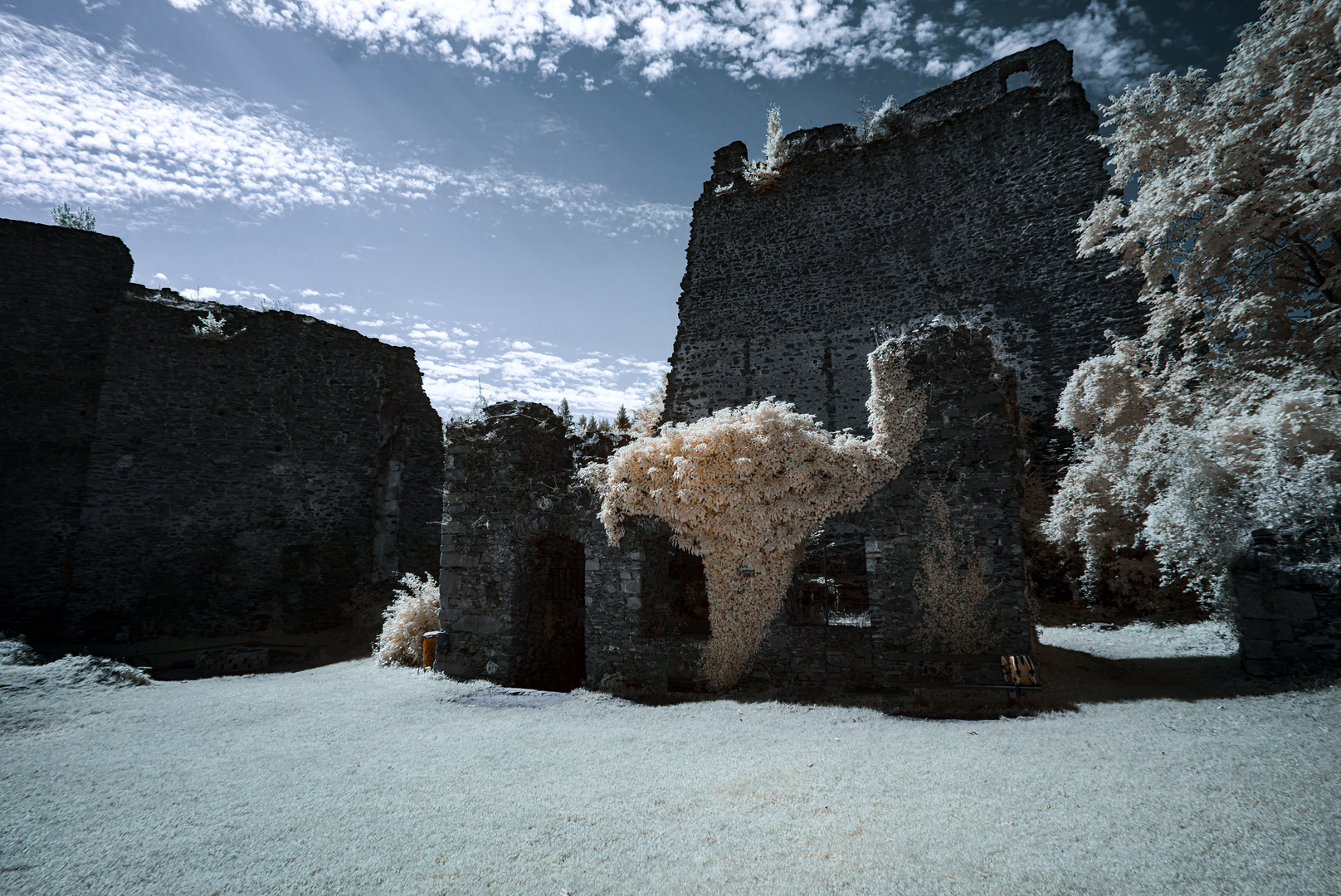 Burg Schaunberg IR