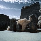 Burg Schaunberg IR