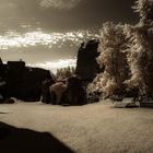 Burg Schaunberg IR Sepia