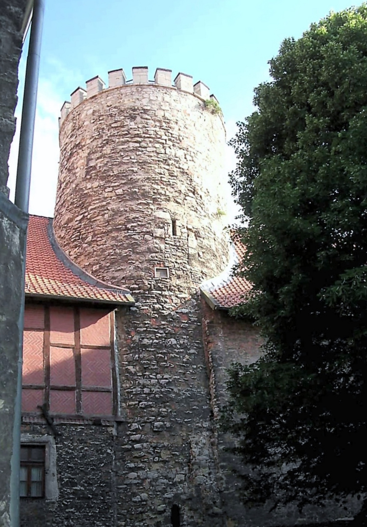 Burg Schlanstedt -1-