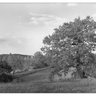 Burg Schlitz / Mecklenburger Schweiz