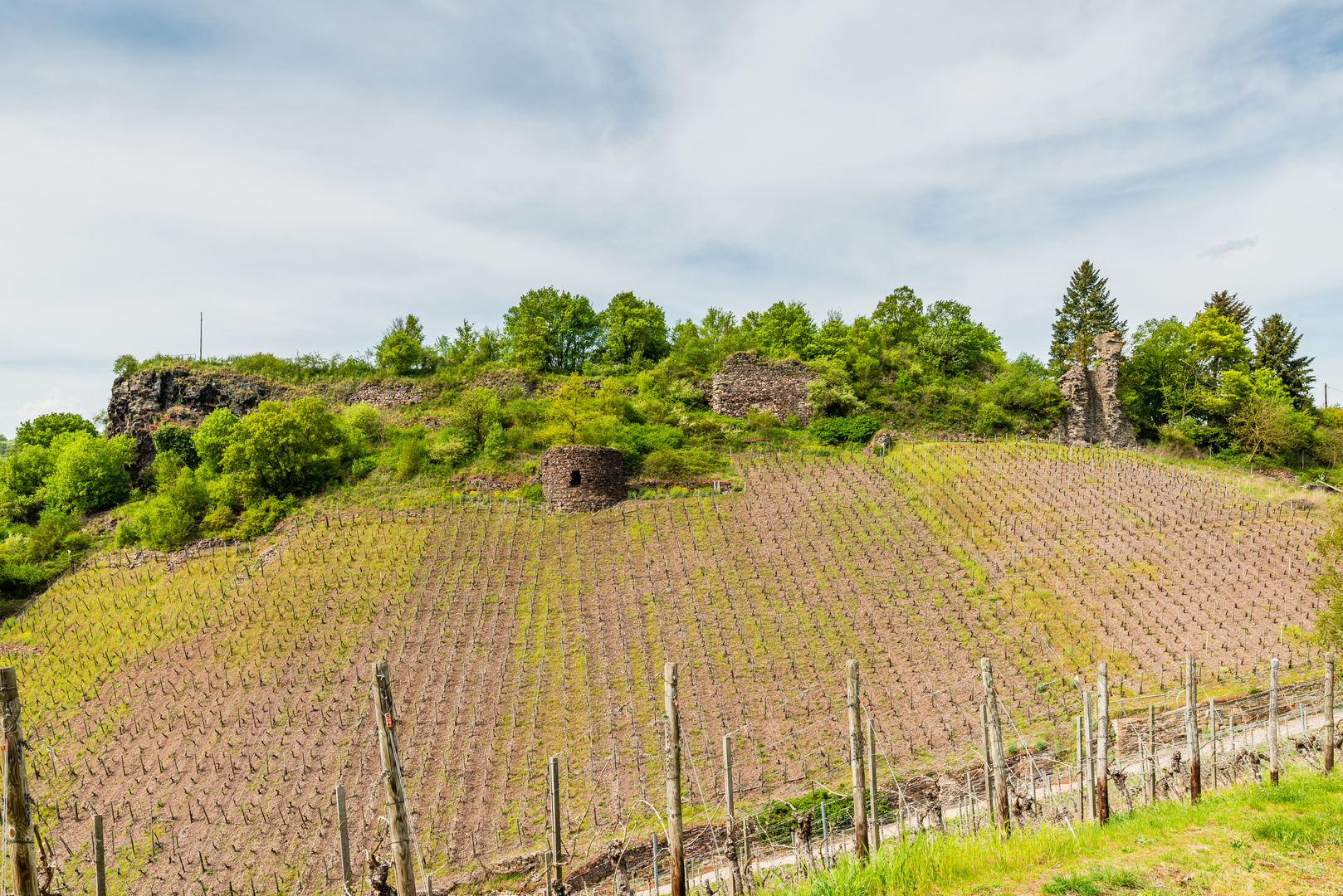 Burg Schlossböckelheim 03