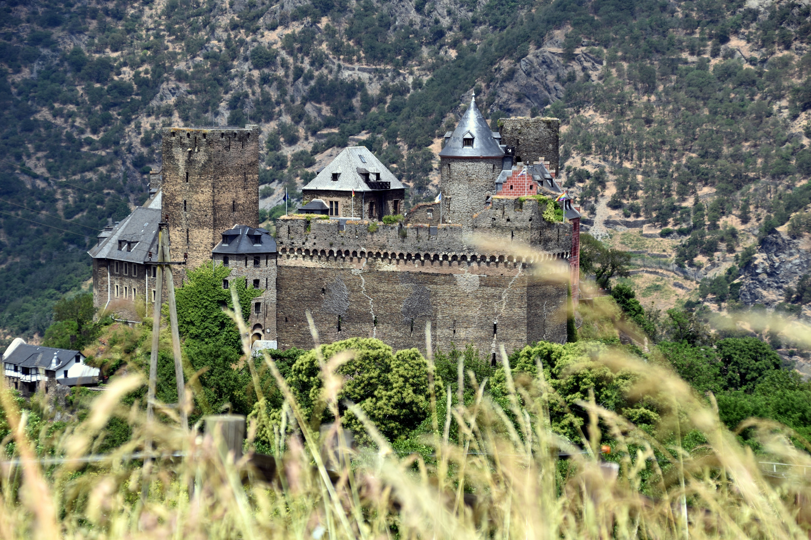 Burg Schönburg 1