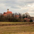 Burg Schönfels (4)