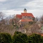 Burg Schönfels (6)