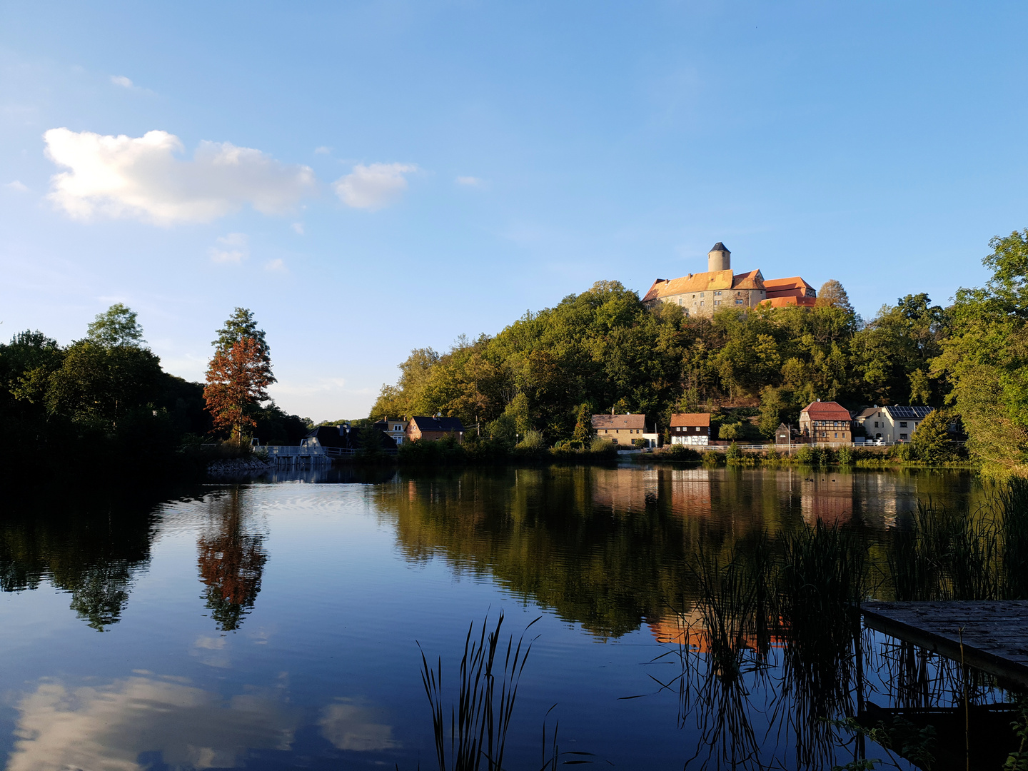 burg schönfels