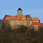 Burg Schönfels bei Zwickau