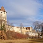 Burg Sebenstein