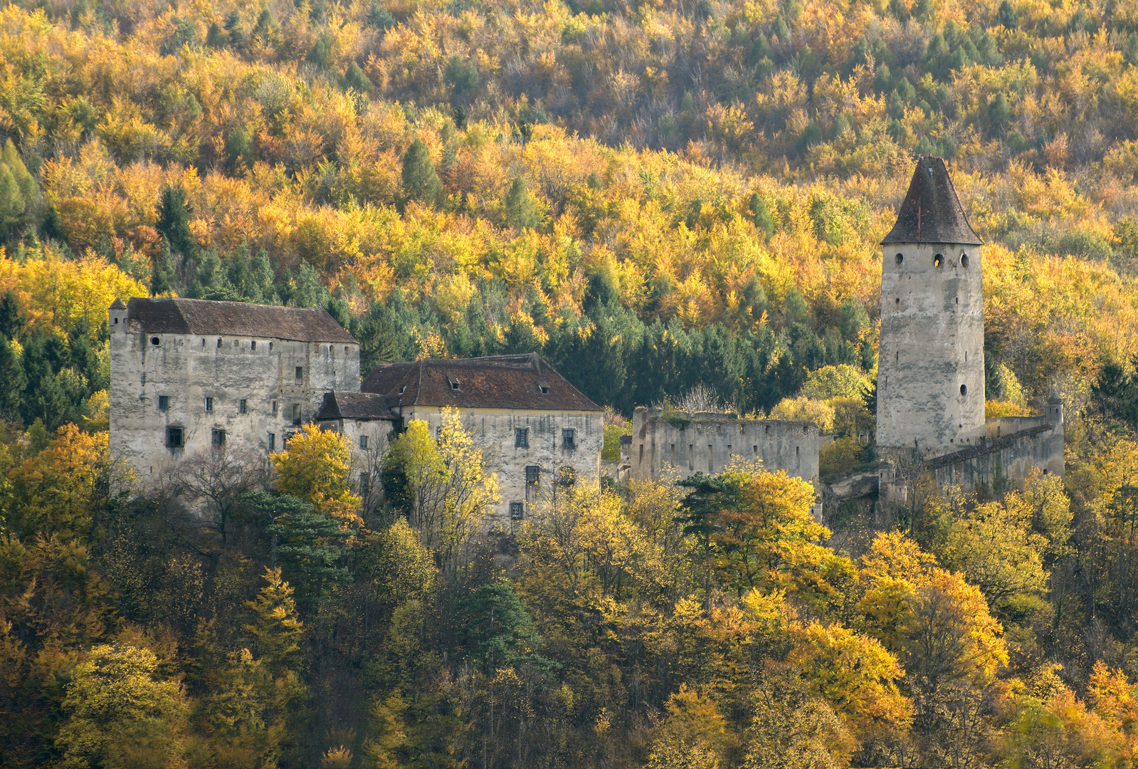 Burg  Seebenstein