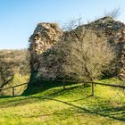 Burg Sponheim-Turmrest 99