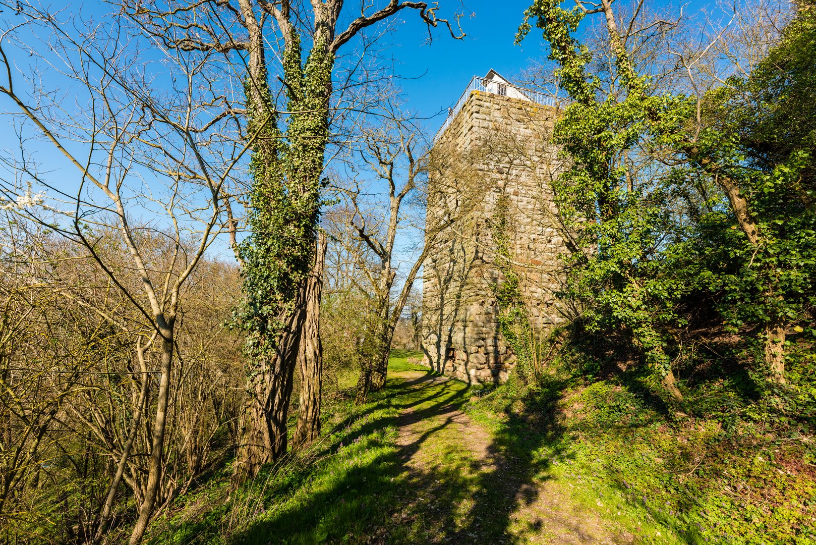 Burg Sponheim-Wohnturm 36