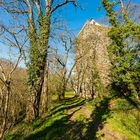 Burg Sponheim-Wohnturm 36