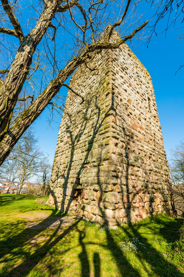 Burg Sponheim-Wohnturm 48