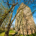 Burg Sponheim-Wohnturm 51