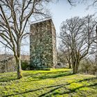 Burg Sponheim-Wohnturm 72-4