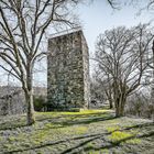 Burg Sponheim-Wohnturm 72-5