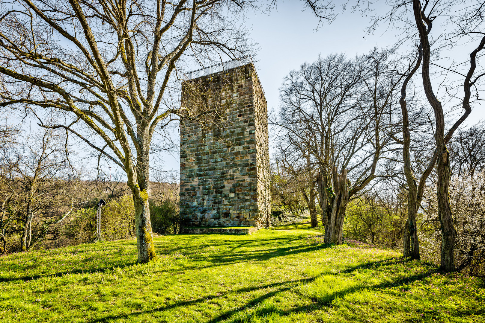 Burg Sponheim-Wohnturm 72-8