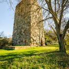 Burg Sponheim-Wohnturm 89
