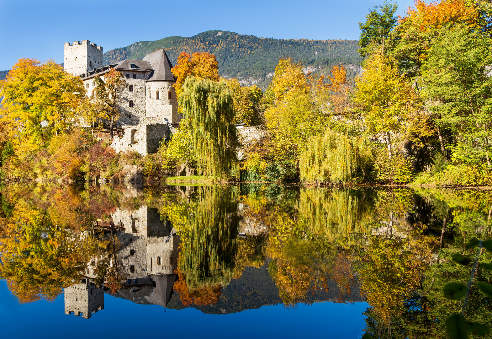 burg-st-petersberg-foto-bild-landschaft-sonstiges-jahreszeiten