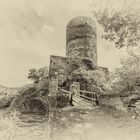 Burg Stahlberg 29 - alte Fotoplatte