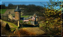 Burg Stahleck.