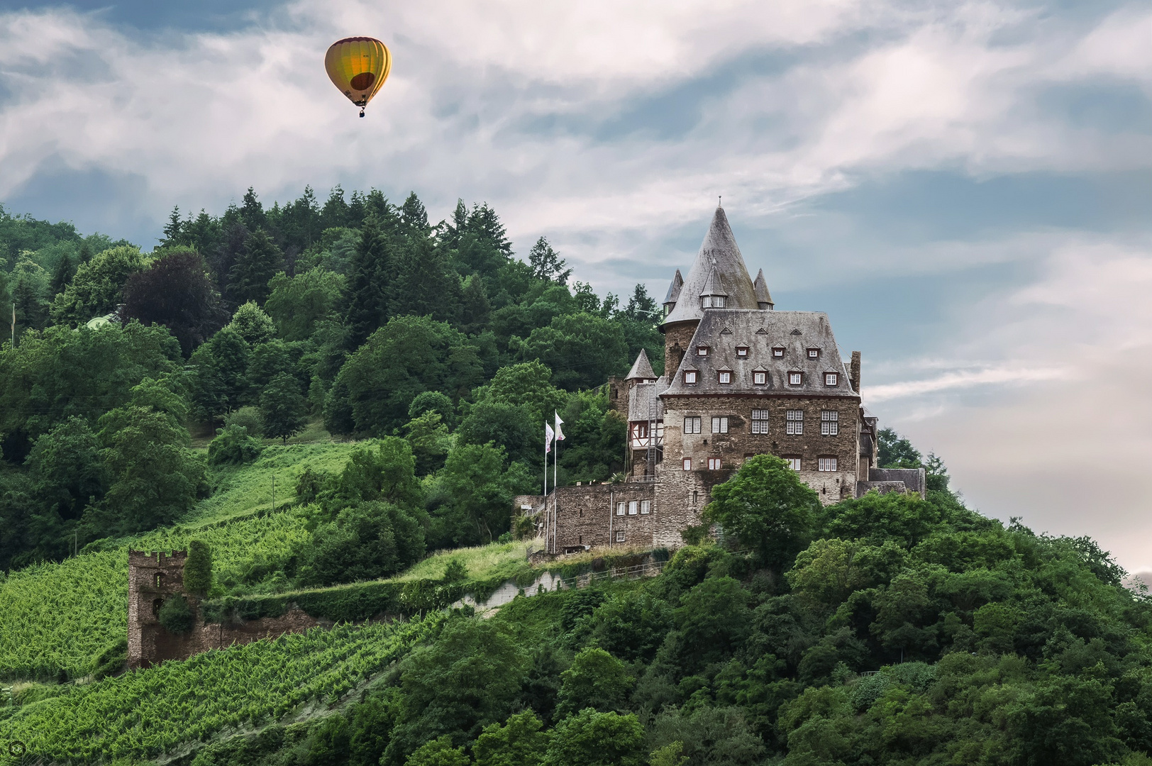 Burg Stahleck Rheingau 