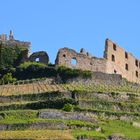 Burg Staufen