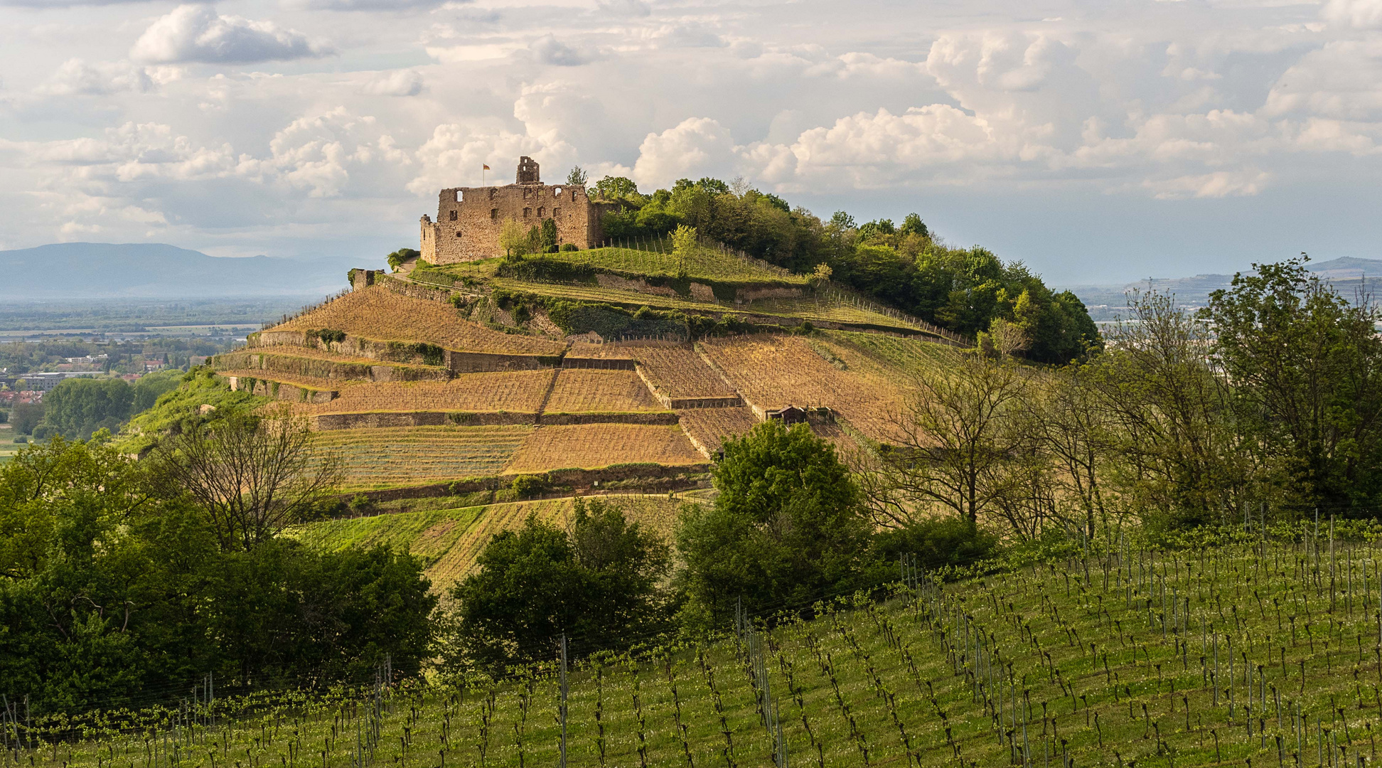 Burg Staufen. Goldene Stunde.