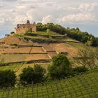 Burg Staufen. Goldene Stunde.