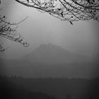 Burg Staufen im Nebel