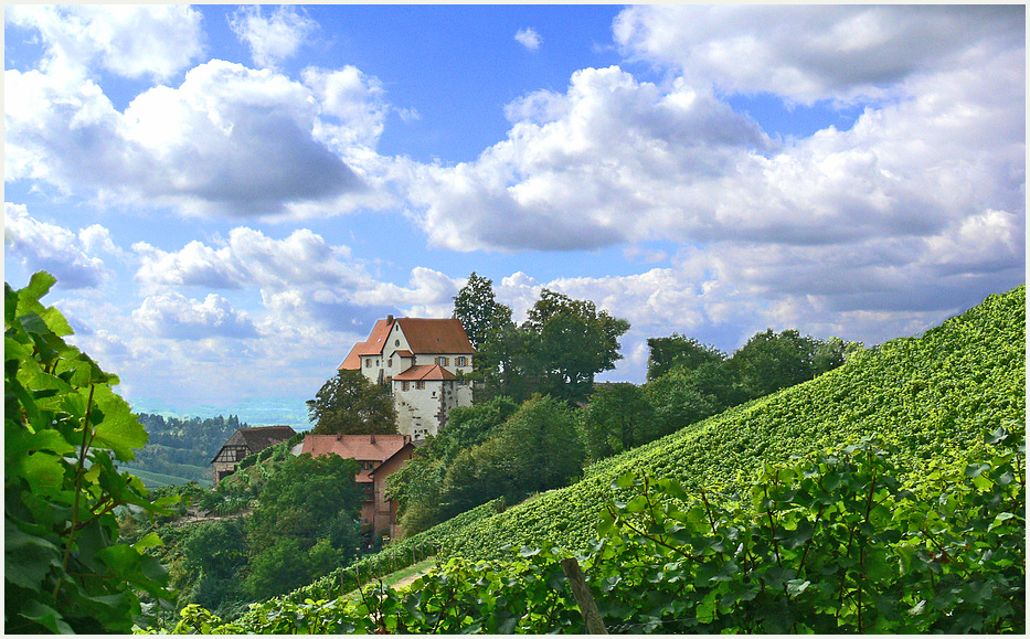 Burg Staufenberg 2