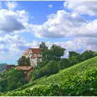 Burg Staufenberg 2